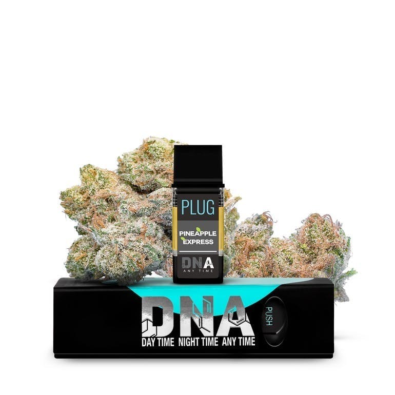 Plugplay - Dna - Pineapple Express  Pod 1000MG
