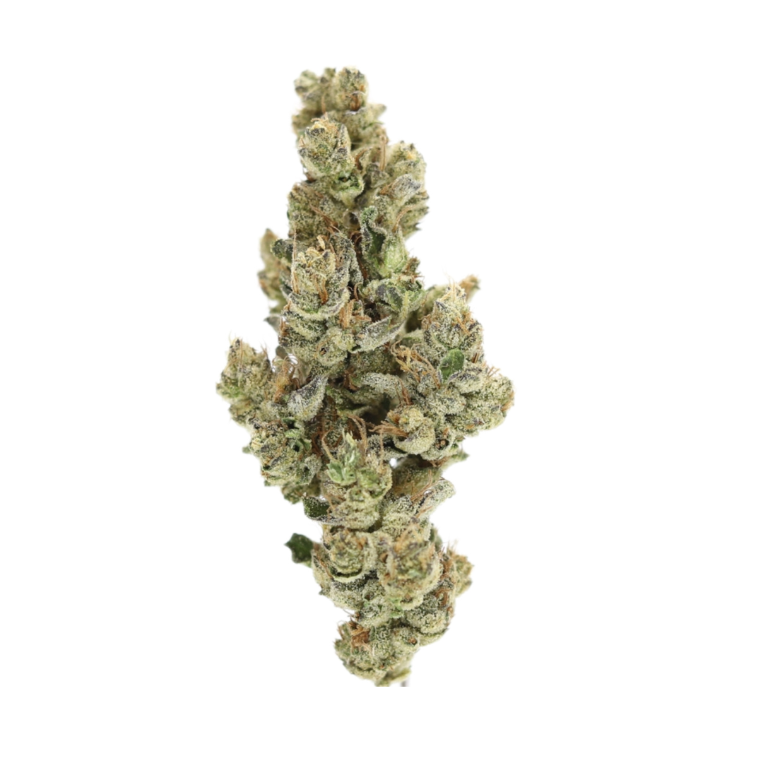 Sol Spirit - Headband 3.5G